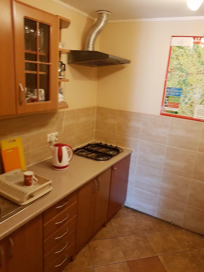 Villa Nina Поляница-Здруй Экстерьер фото